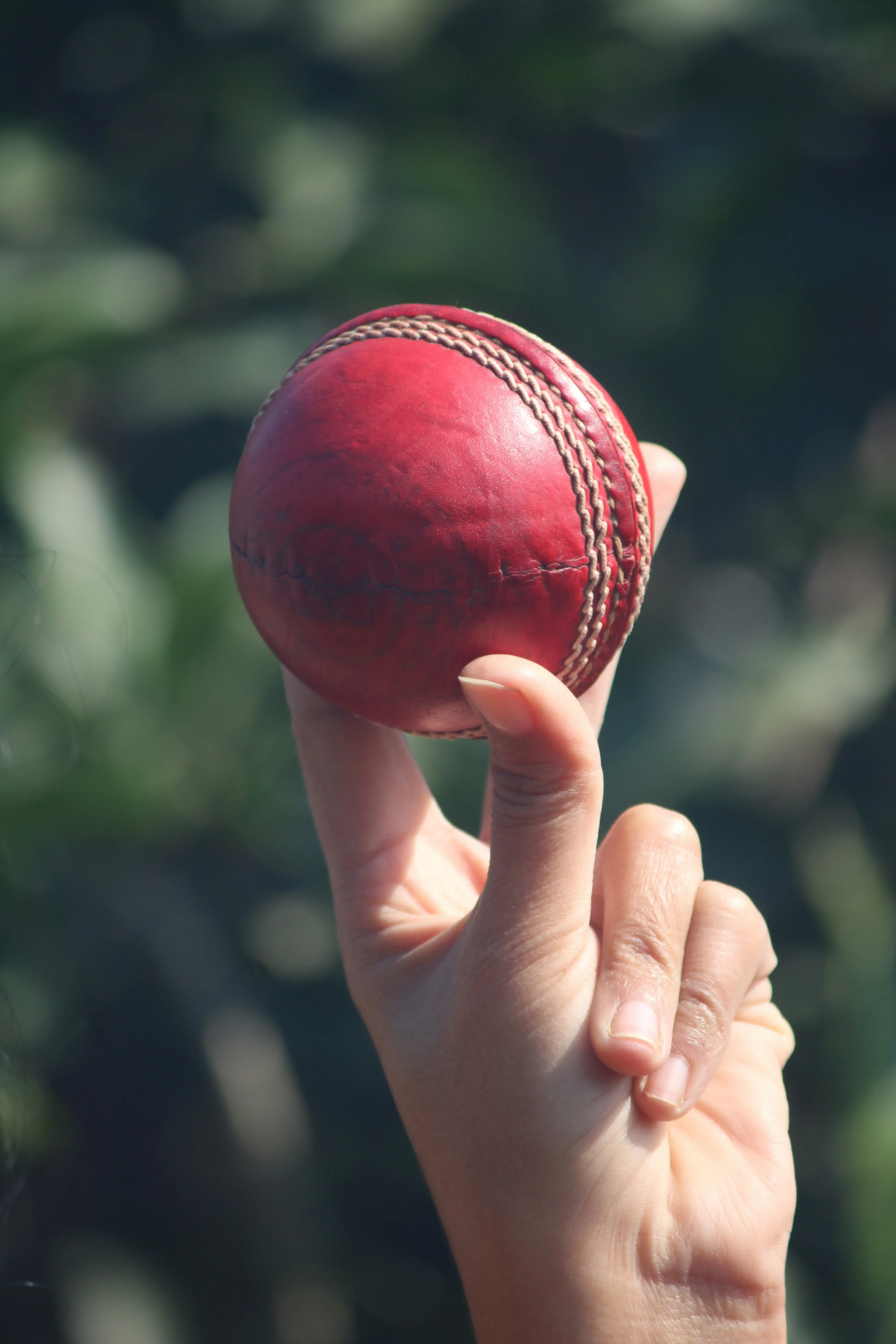 cricket