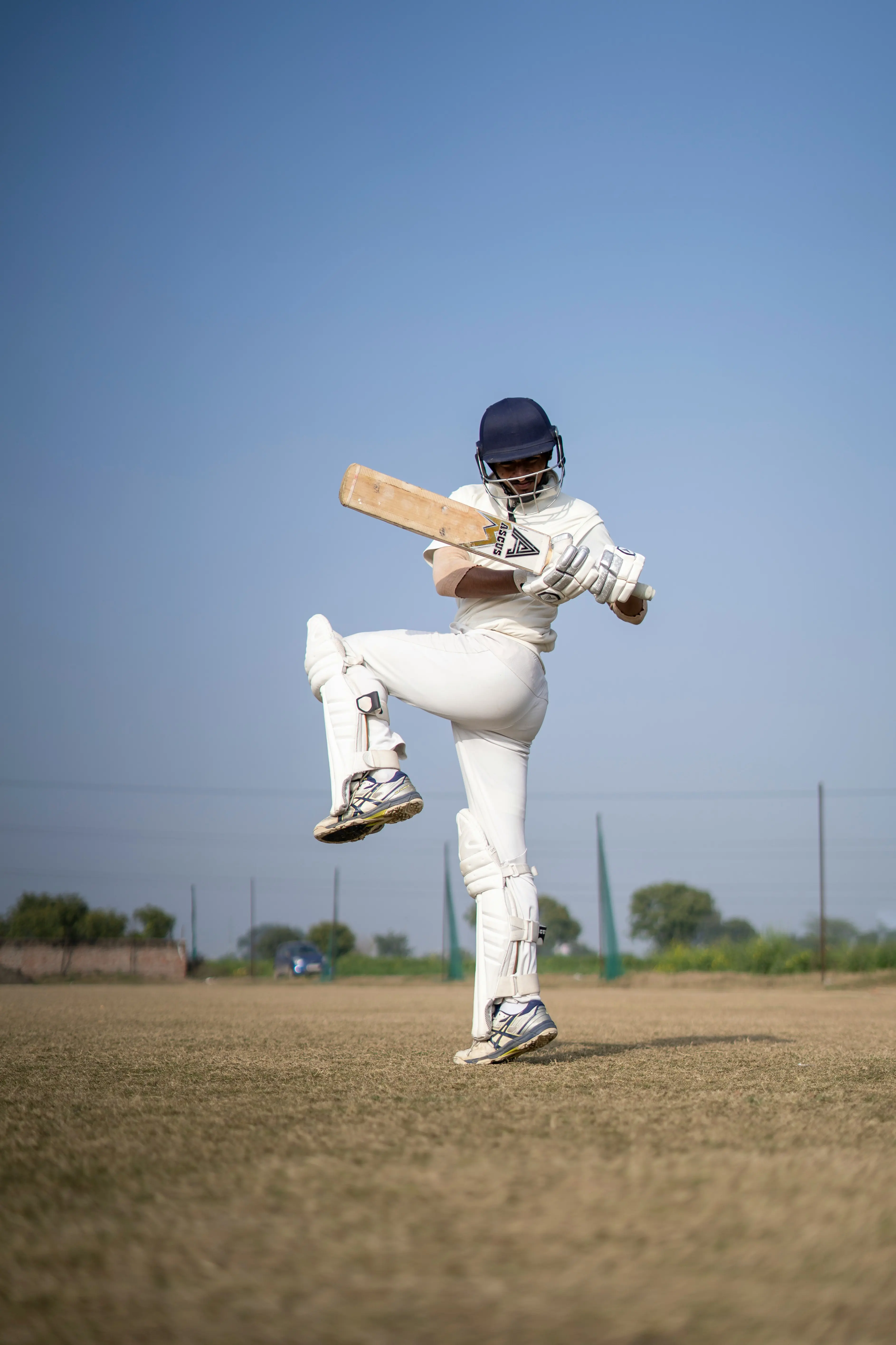 cricket