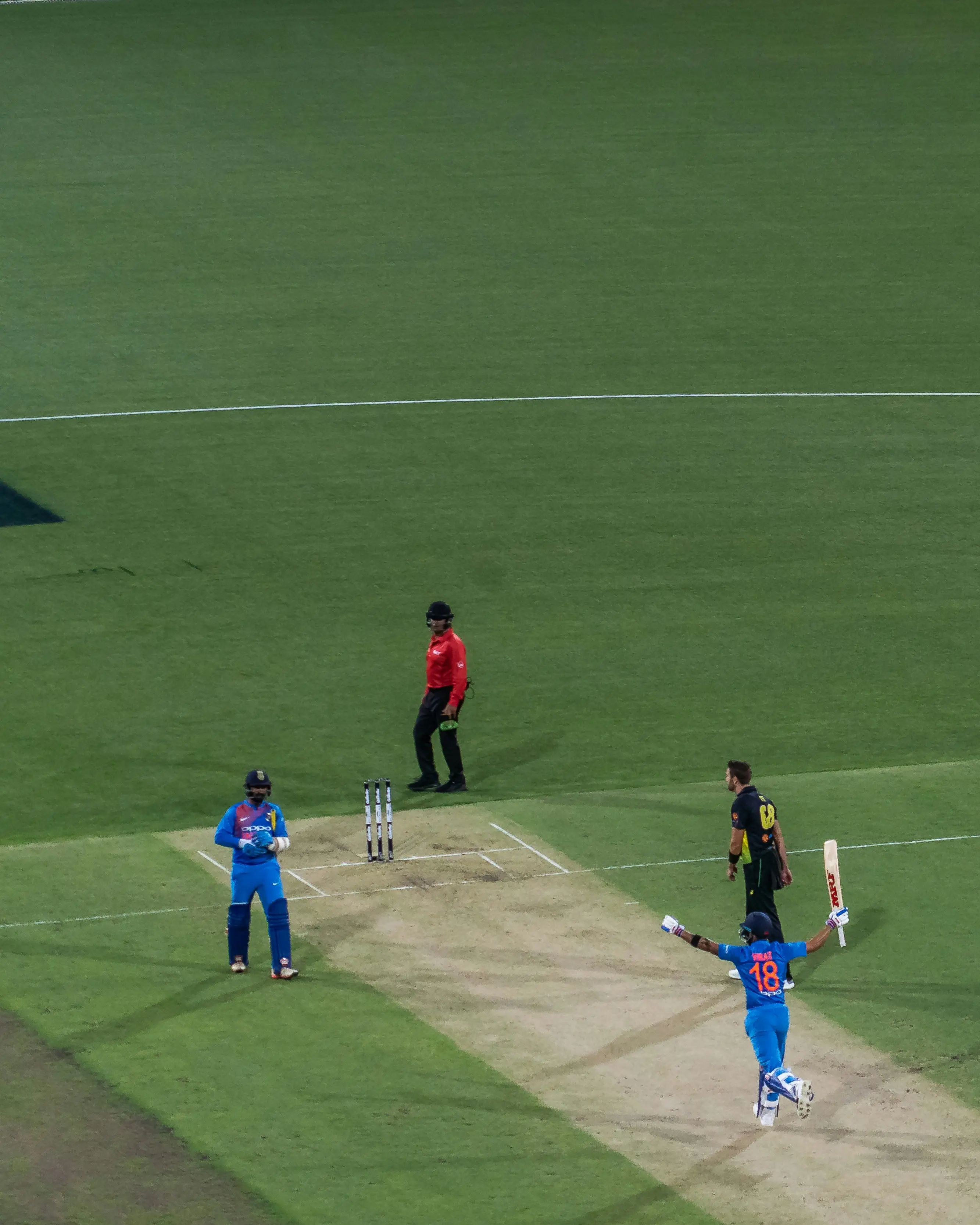 cricket
