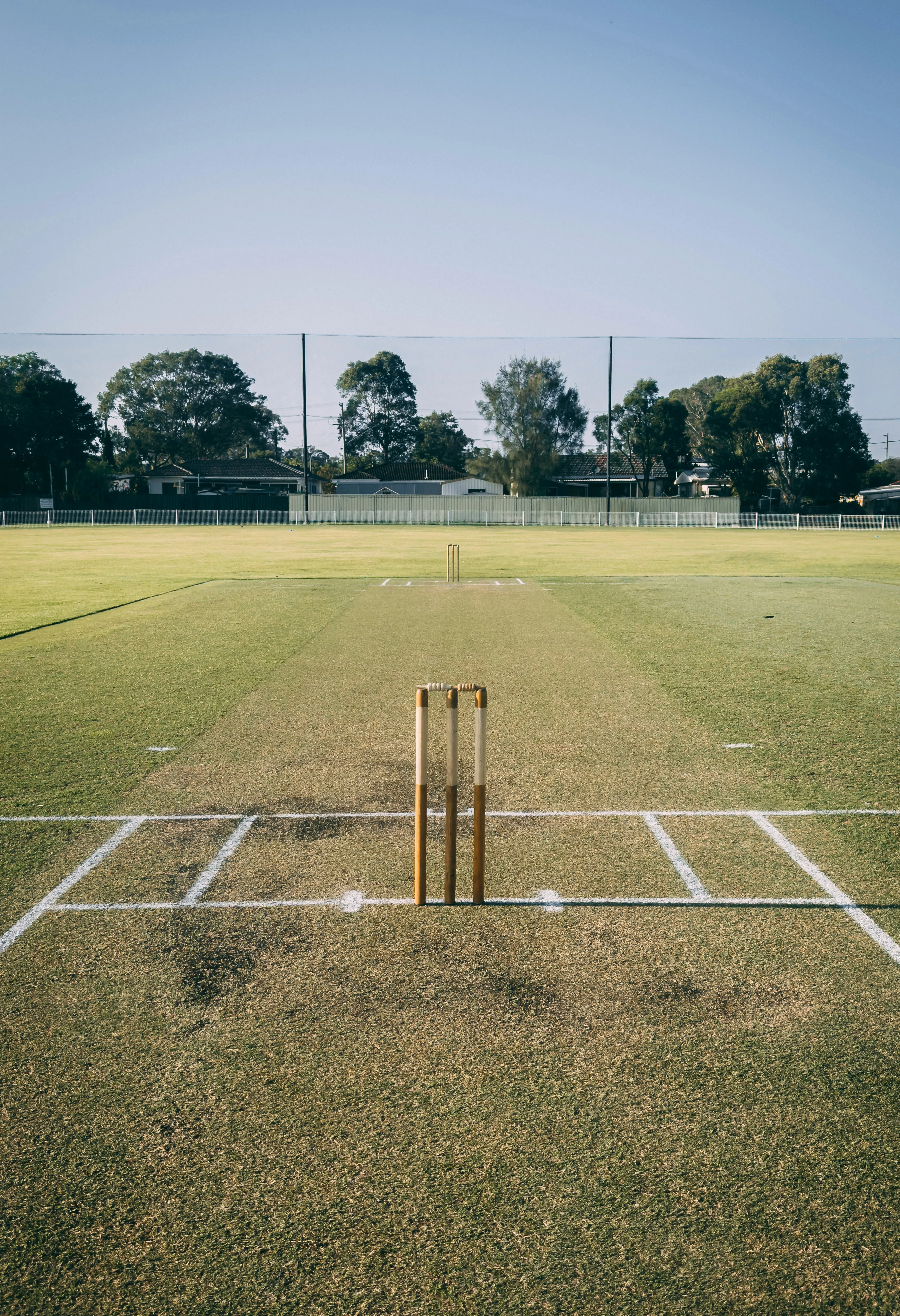 cricket